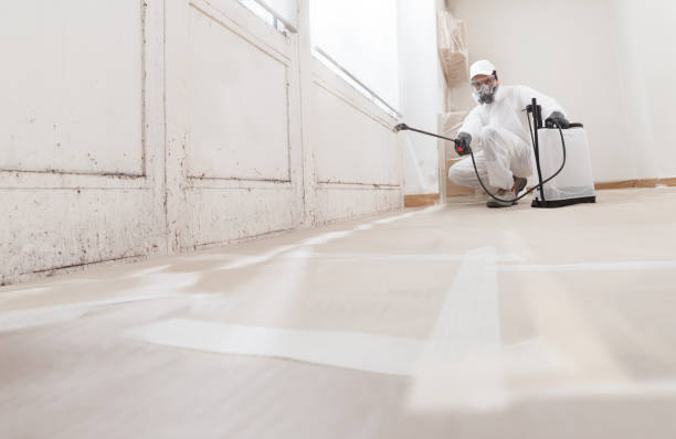 24/7 Emergency Crawl Space Mold Remediation experts in Dublin, VA