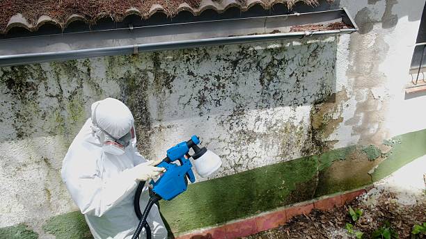 Top rated local Crawl Space Mold Remediation specialists in Dublin, VA
